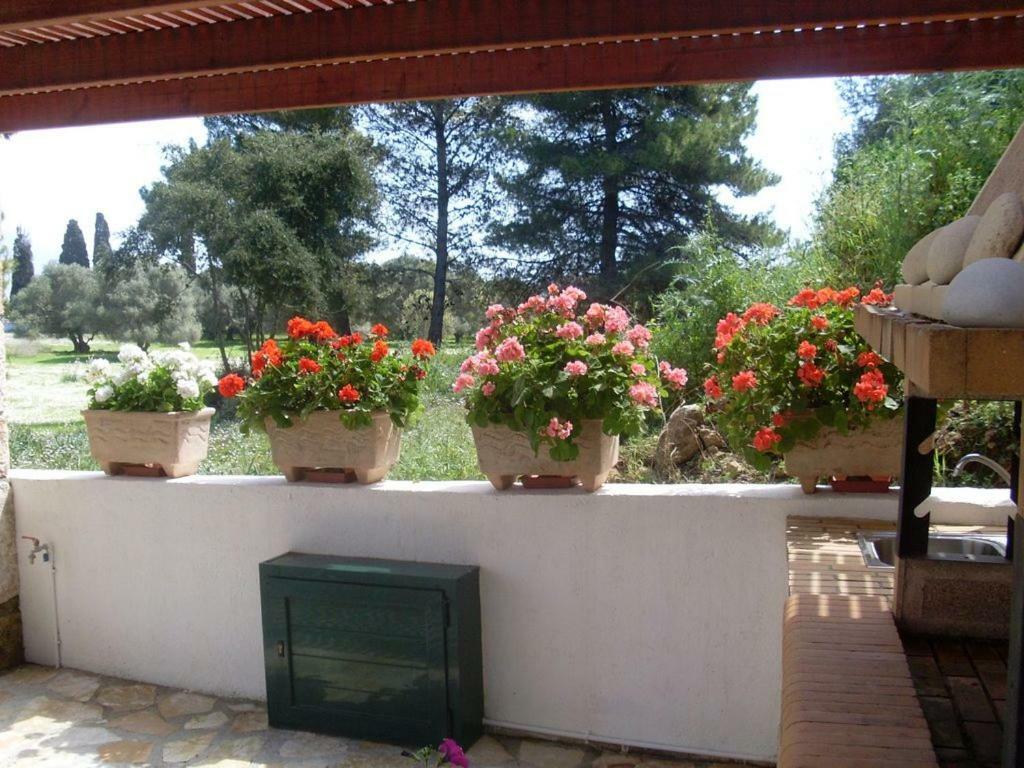 Metaxáta Villa Amelia מראה חיצוני תמונה